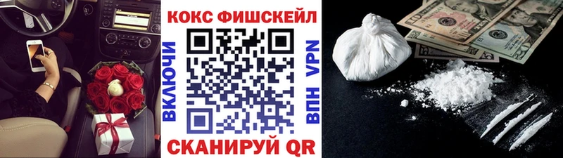 Кокаин FishScale  hydra зеркало  сайты даркнета клад  Устюжна 