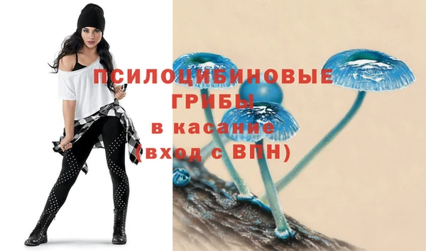 ALPHA PVP Медвежьегорск