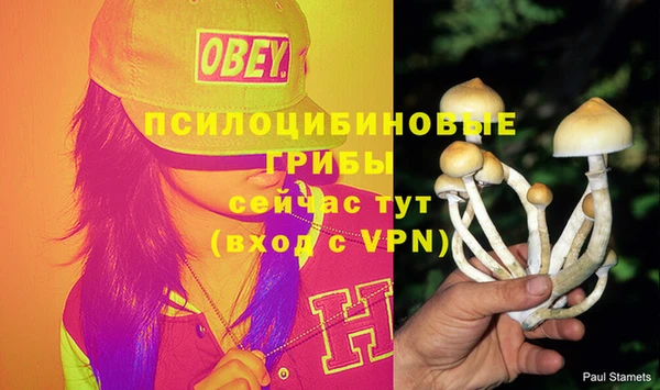 ALPHA PVP Медвежьегорск