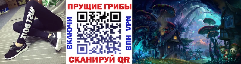 Галлюциногенные грибы Cubensis  Устюжна 
